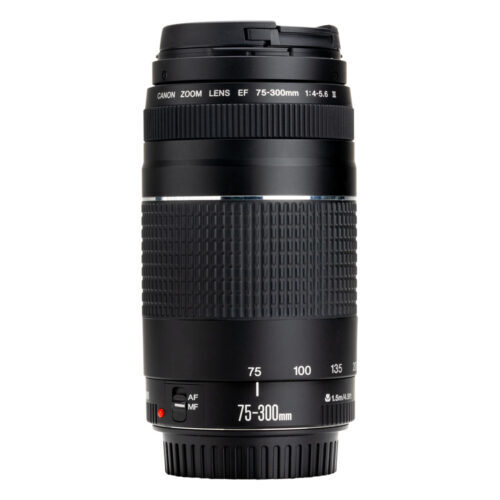 Canon EF 75-300mm f/4-5.6 III