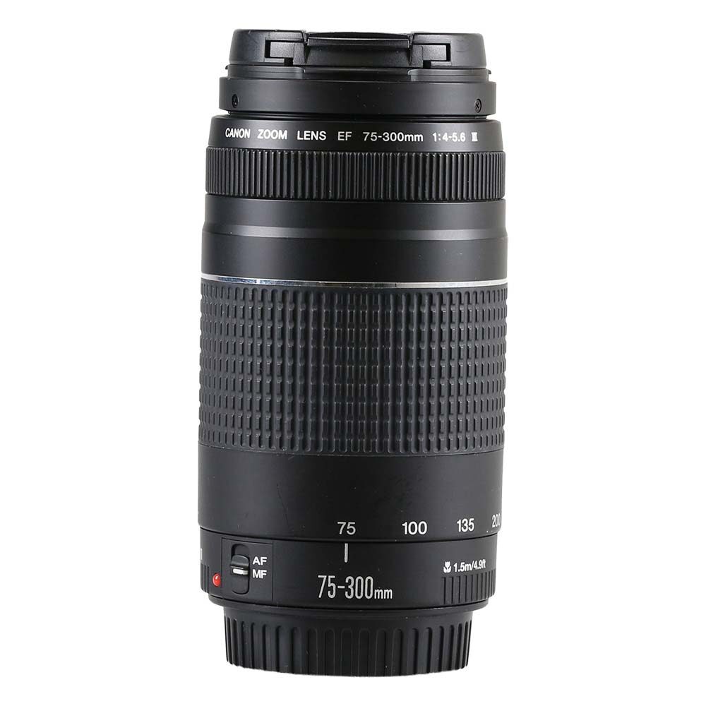 Canon EF 75-300mm f/4-5.6 III