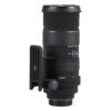 Sigma 50-500mm f/4-6.3 EX APO DG HSM (Nikon)