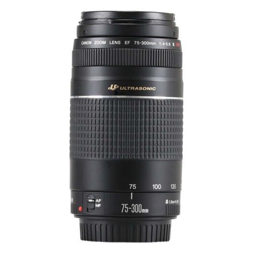 Canon EF 75-300mm F/4-5.6 III USM