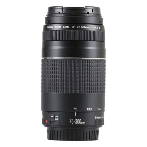 Canon EF 75-300mm f/4-5.6 III