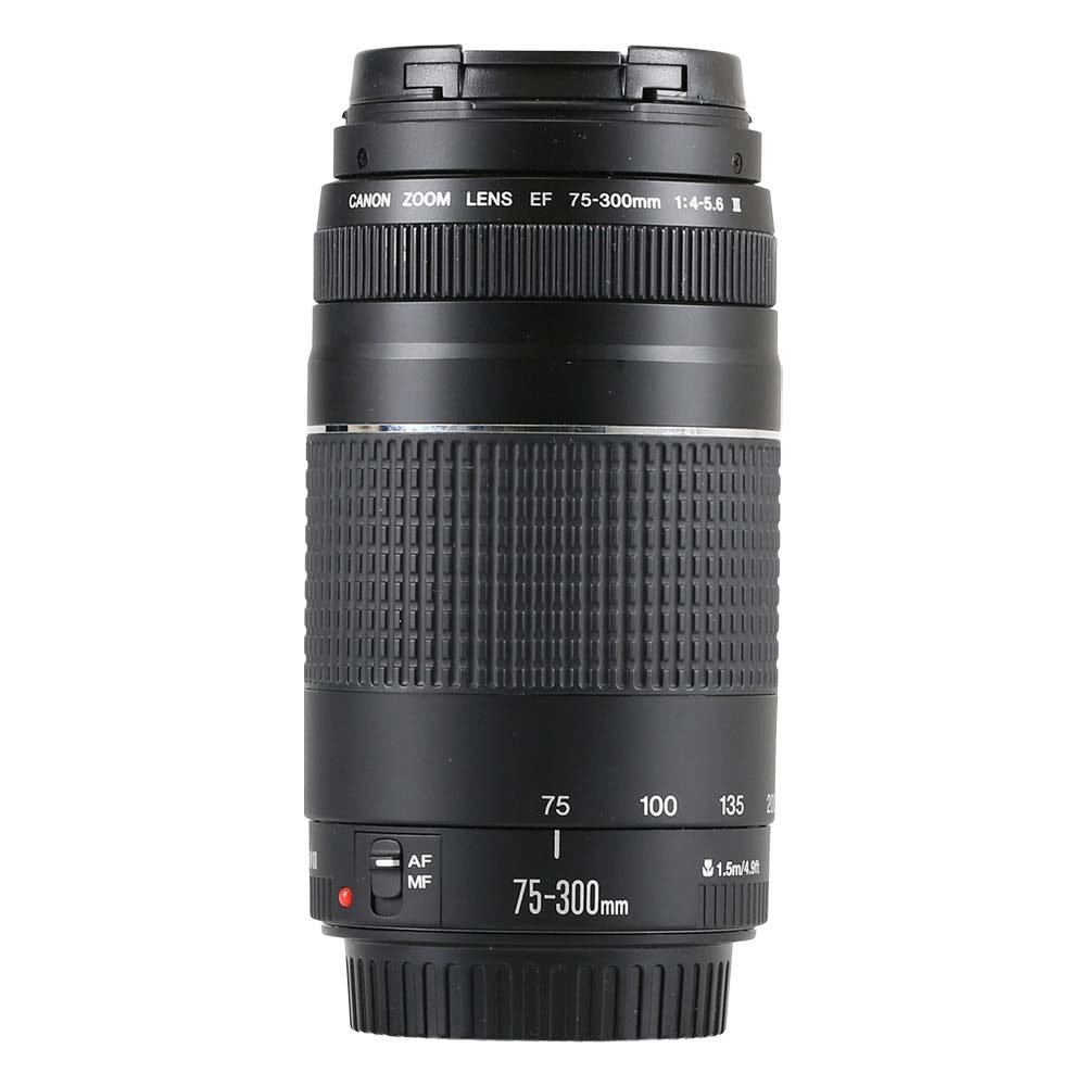 Canon EF 75-300mm f/4-5.6 III