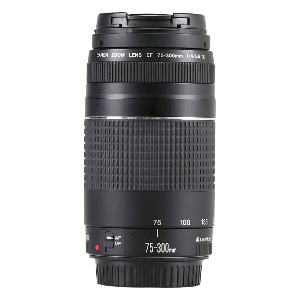 Canon EF 75-300mm f/4-5.6 III